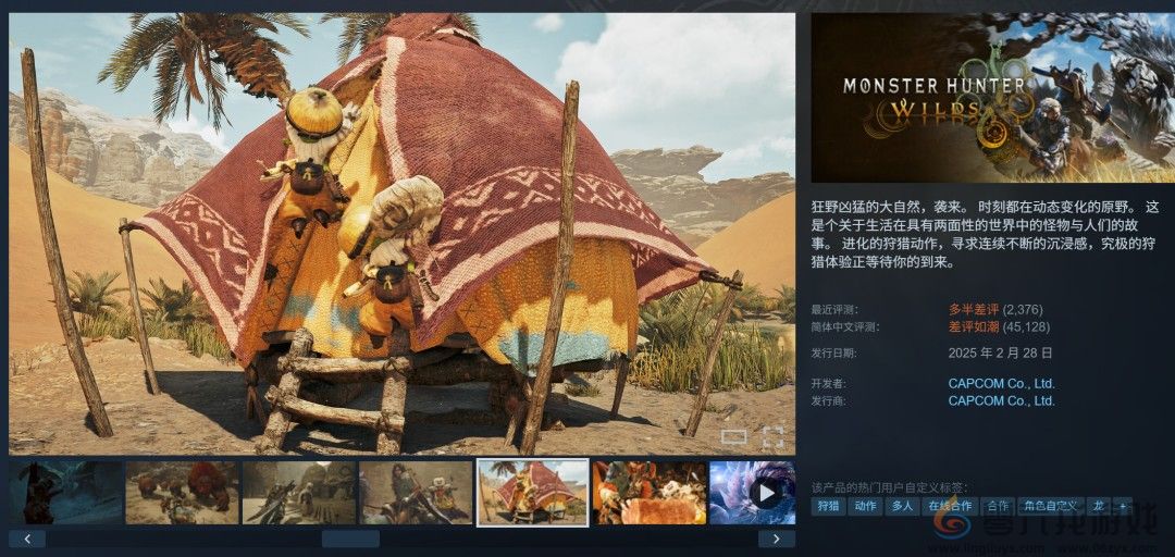 2025年Steam新作在线排名 《怪物猎人：荒野》遥遥领先(图5)